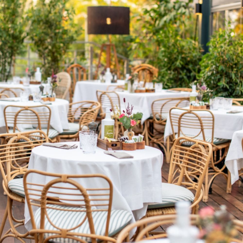 Aurea La moraleja-Restaurantes La Moraleja-Milla de Oro-imagen-3