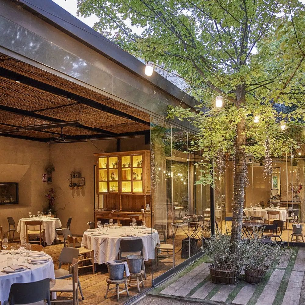 Filandón-Restaurantes Barrio Salamanca-Milla de Oro-imagen-1