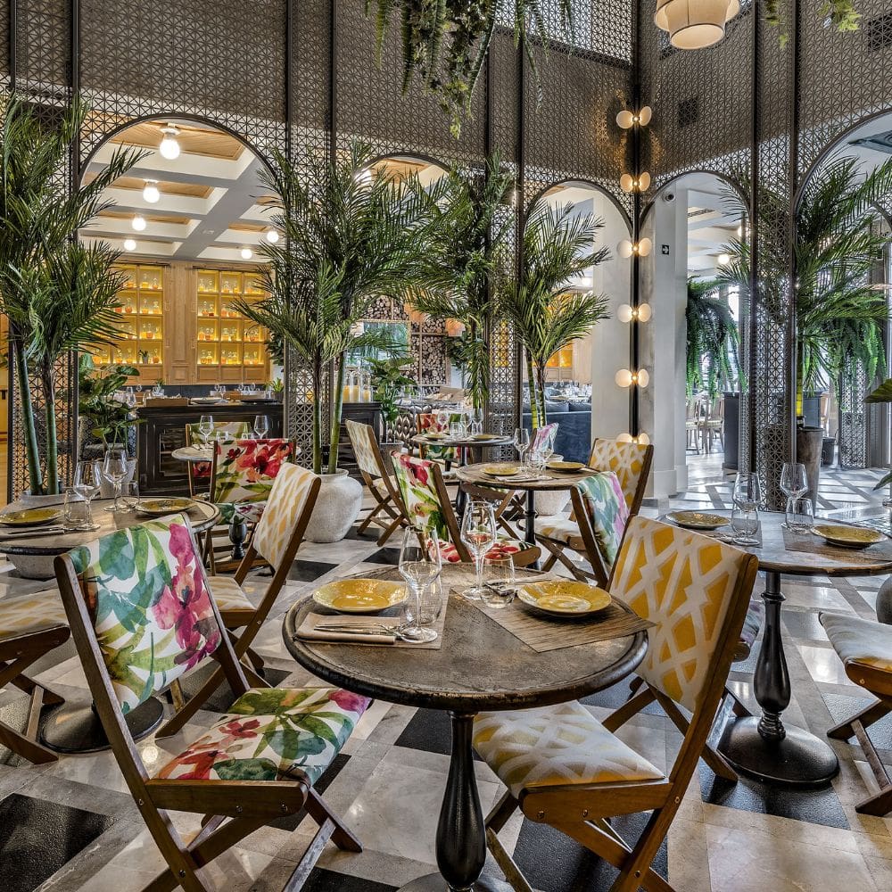 Papủa Colón-Restaurantes Barrio Salamanca-Milla de Oro-imagen-5