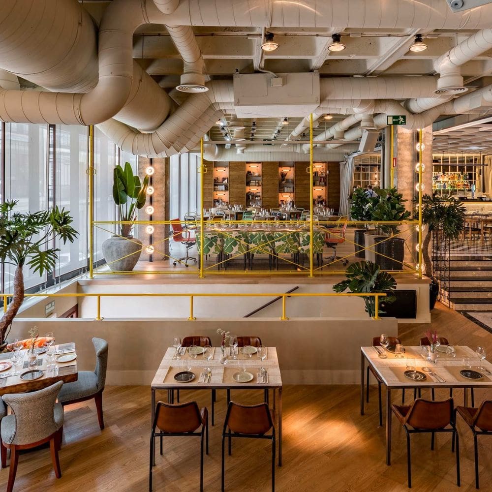 Perrachica madrid-Restaurantes Barrio Salamanca-Milla de Oro-imagen-3