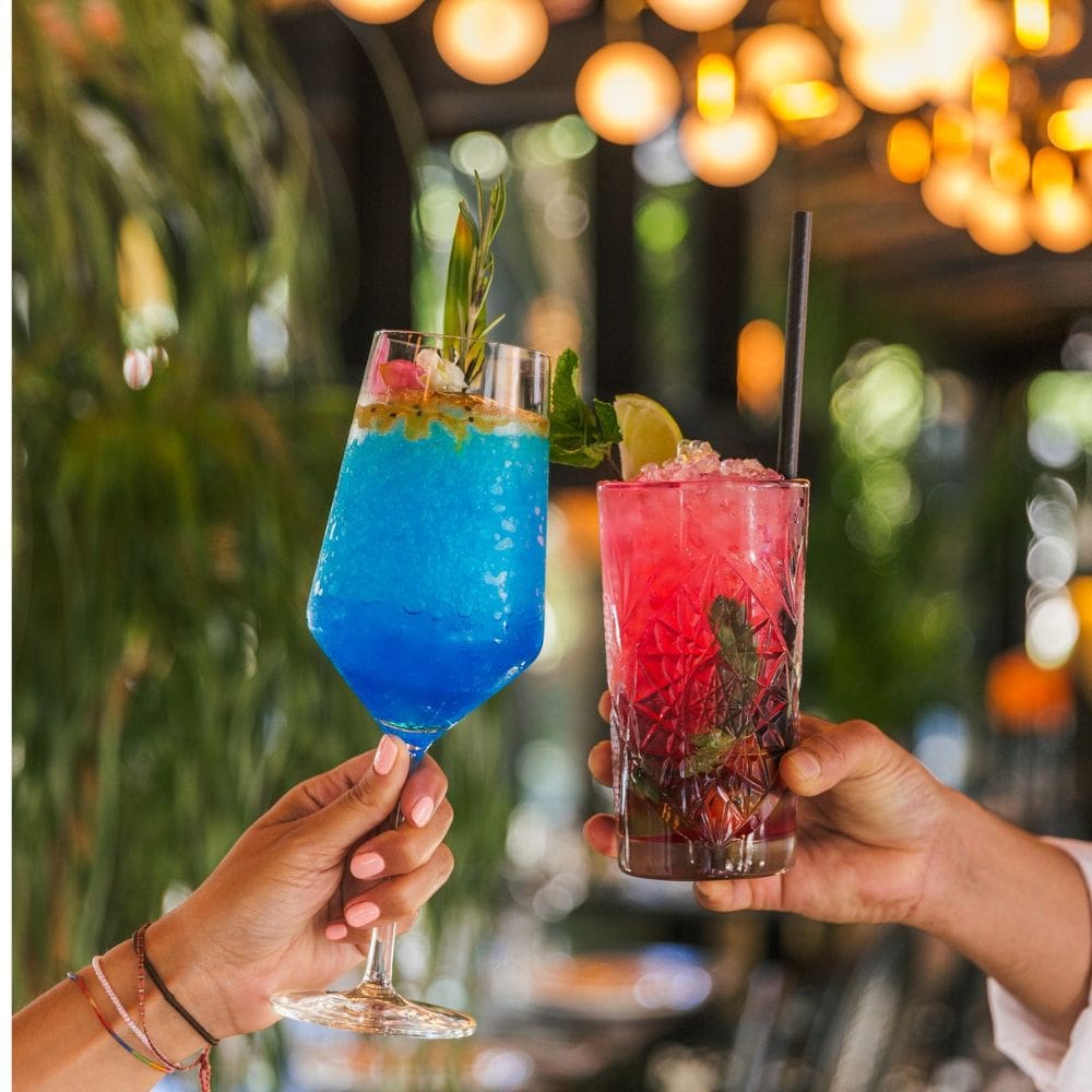 Udaipur Indian Cuisine-Restaurantes Barrio Salamanca-Milla de Oro-imagen-5